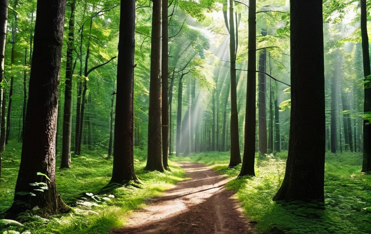 **Prompt 1:** "A mystical, ancient forest in Latvia, reminiscent of Gauja National Park. Sunlight filters through a dense canopy of lush green leaves, creating a dappled effect on the forest floor. A narrow, peaceful path winds through the tall trees, evoking a sense of deep tranquility and untouched nature. The atmosphere is serene and ethereal."